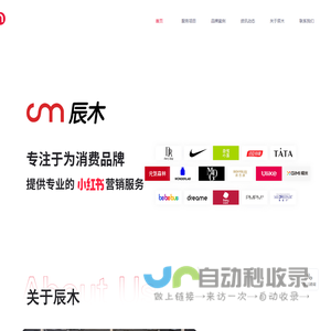 小红书种草-品牌营销推广-小红书广告投放-辰木互动